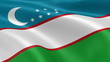 Uzbek flag in the wind