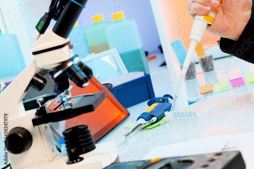 Photo: Plant lab Plant lab