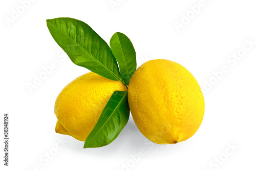 Photo: Lemons two with leaves Lemons two with leaves