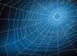 spider web