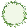 St.Patrick`s day frame