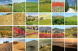 Collage With Fantastic Landsca...