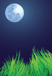 full moon night