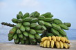 Tropical bananas Tropical bananas