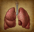 Grunge Human Lungs