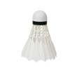 shuttlecock