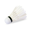 shuttlecock
