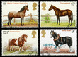 British Horse Postage Stamps