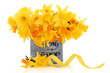 Spring Beauty