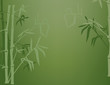 bamboo cove