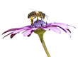 abeja trabajando