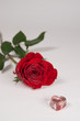 rote Rose und zwei Herzen Freisteller