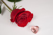 rote Rose und zwei Herzen Freisteller