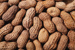 Peanuts background.