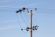 Electricity Line