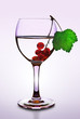 Glas mit roten Johannisbeeren