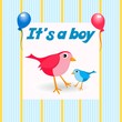 Its A Boy