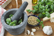 Making Pesto!