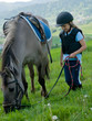 Little jockey is grazing the horse