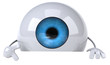 Oeil