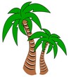 Palm Trees