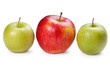 different colors apples on white background