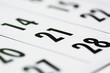 Calendar fragment