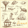summer collection summer collection