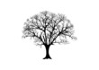 Baum Silhouette