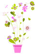 pot de fleurs