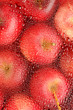 background with fresh red apples background with fresh red apples