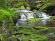 Bemooste Steine am Bach