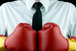 Boxing Gloves