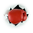 Boxing Glove