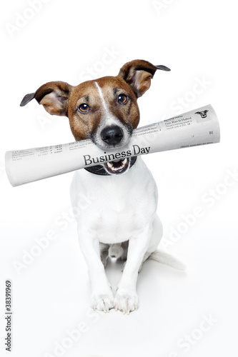 Foto: dog bringing newspaper dog bringing newspaper