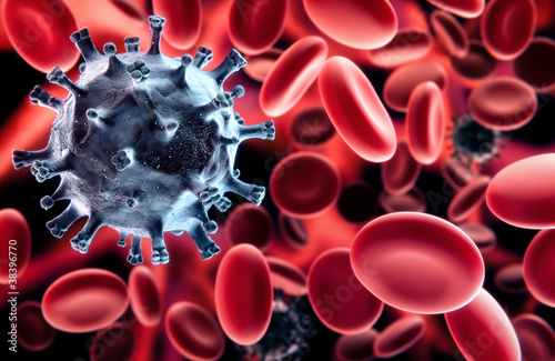 Illustration: Virus in blood Virus in blood
