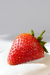 Photo: Strawberry in Cream Strawberry in Cream