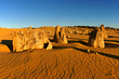 The Pinnacles Desert in the heart of the Nambung