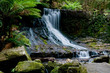 Waterfall in deep forest