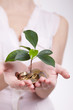woman's hands holding plant sprouting from a handful of coins