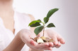 woman's hands holding plant sprouting from a handful of coins