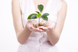 woman's hands holding plant sprouting from a handful of coins