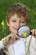 boy with magnifying glass outdoors