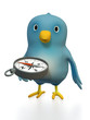 Bluebird with compass Bluebird with compass