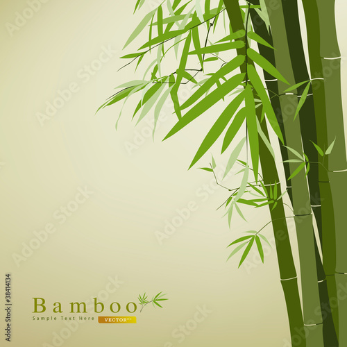 Vector: Bamboo green leaf vector illustration Bamboo green leaf vector illustration