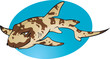Cartoon Bamboo shark