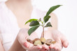 woman's hands holding plant sprouting from a handful of coins