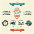 Vector vintage ornate decor elements. ornaments ribbon stamps