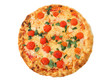 isolated pizza on white background