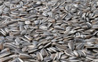 close-up of sunflower seeds, food background